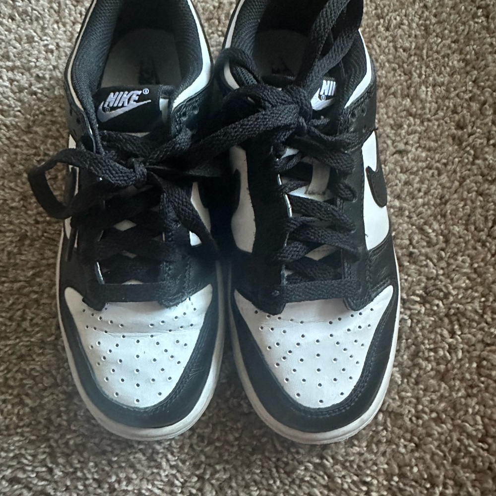 Nike Panda Dunks /kids